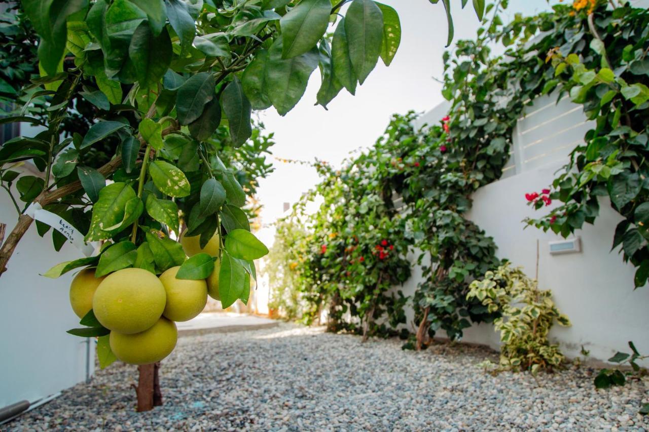 Island Home Seaside Villa Paralimni Exteriér fotografie