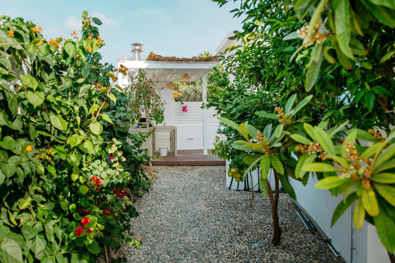 Island Home Seaside Villa Paralimni Exteriér fotografie
